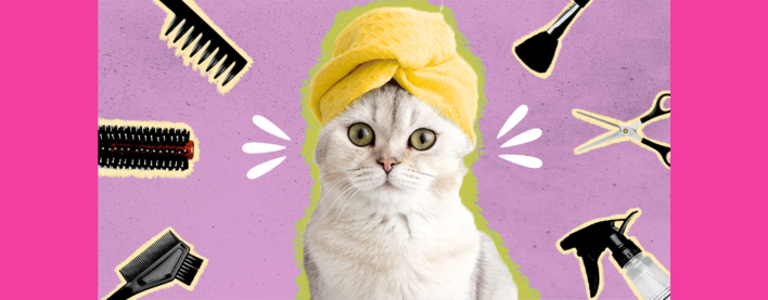 Pişiklərə tüklərə düzgün qulluq